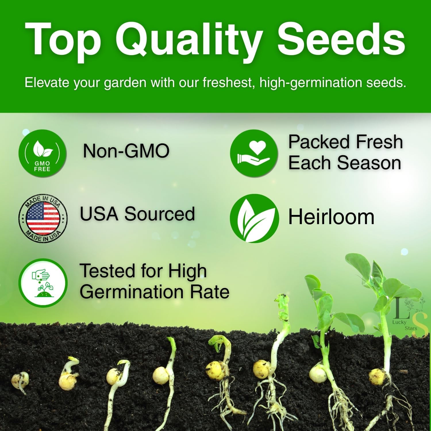 3000+ Premium Egyptian Spinach Seeds (Molokhia) – Fast-Growing, Low Green