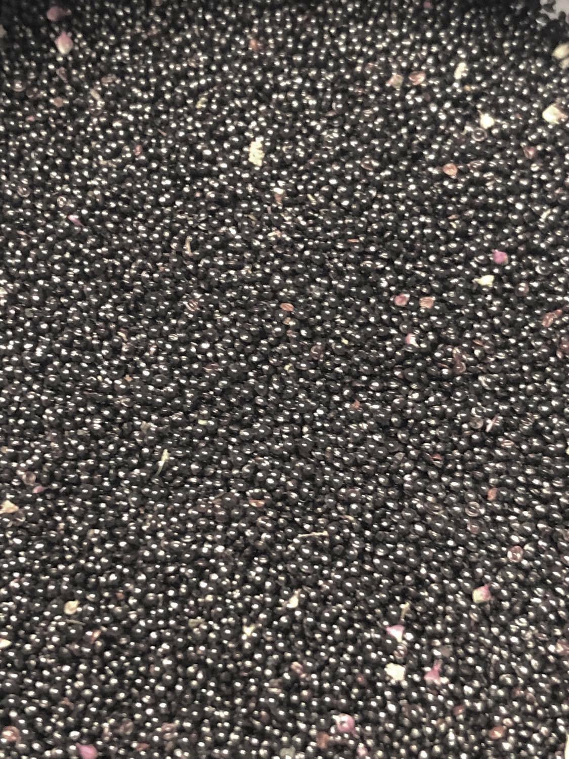 Amaranth OPOPEO Red Flower Edible Leaves & Grain Microgreens Non-GMO 1500 Seeds!