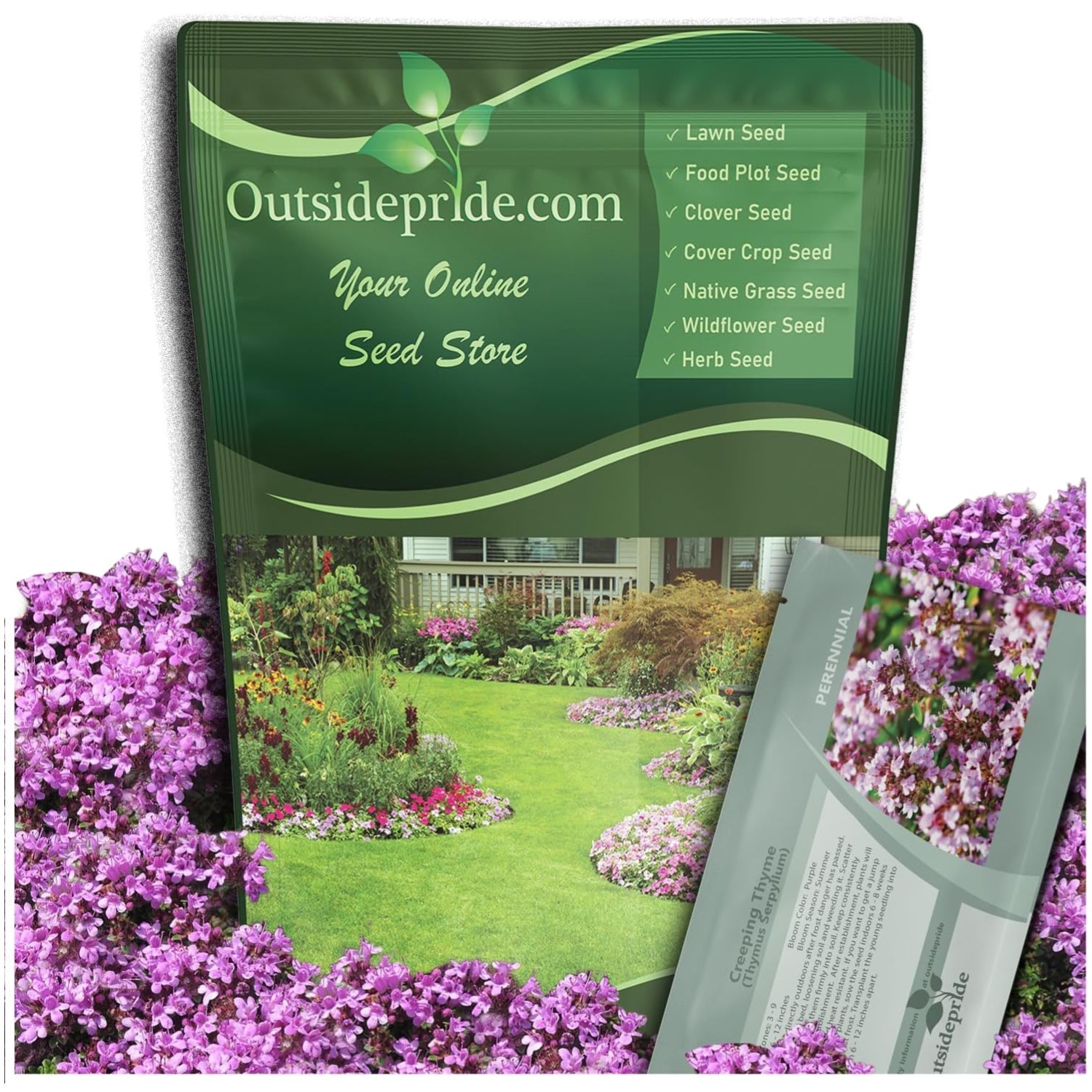 Easy-to-Grow Creeping Thyme Seeds – Fragrant Purple Flowers