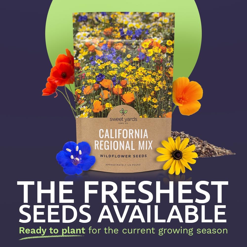 California Wildflower Mixture – Bulk 1/4 4 Ounce (Pack of 1), Multiple Colors