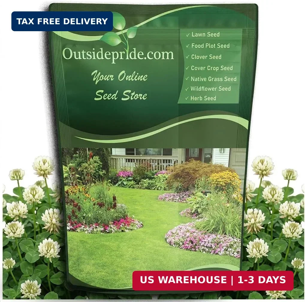 Outsidepride Perennial White Dutch Clover Seed – 5 lbs. Nitrocoated, Inoculated