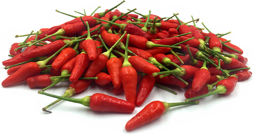 20 RED KONA HAWAIIAN PEPPER SEEDS ~ 2026 ~ heirloomseedguy ~ USA
