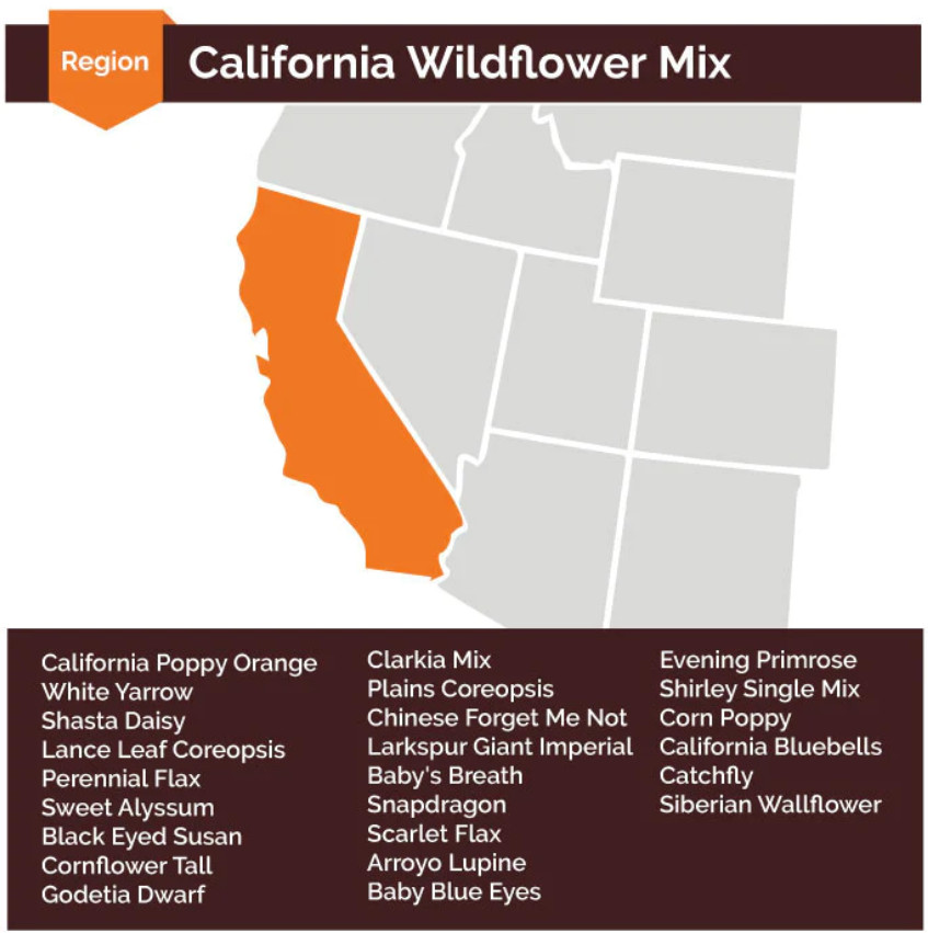 CALIFORNIA Wildflower Mix Perennials & Annuals USA Non-GMO 23 Species 1000 Seeds
