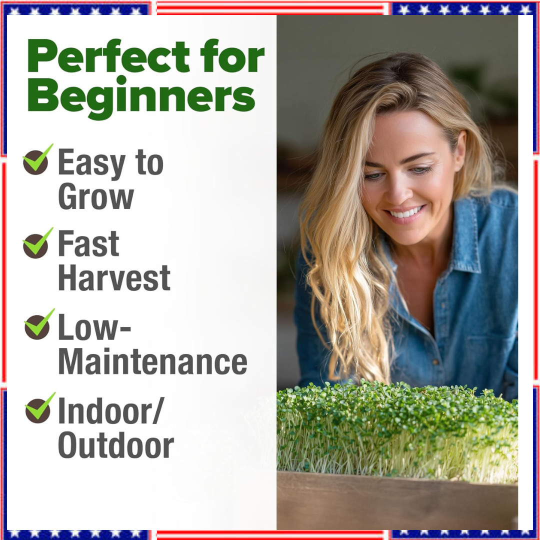Broccoli Sprouting & Microgreens Seeds – 64,200 Non-GMO Heirloom