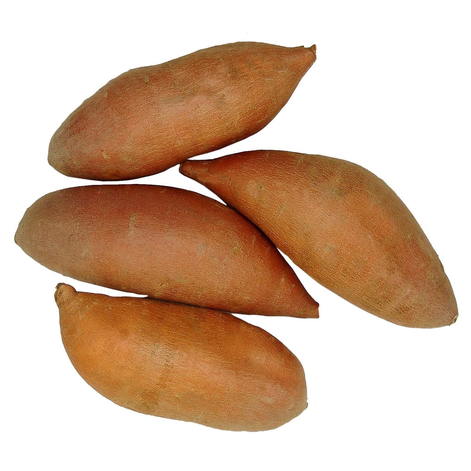 Rawjoy Organic fresh Sweet Potatoes 5 lbs