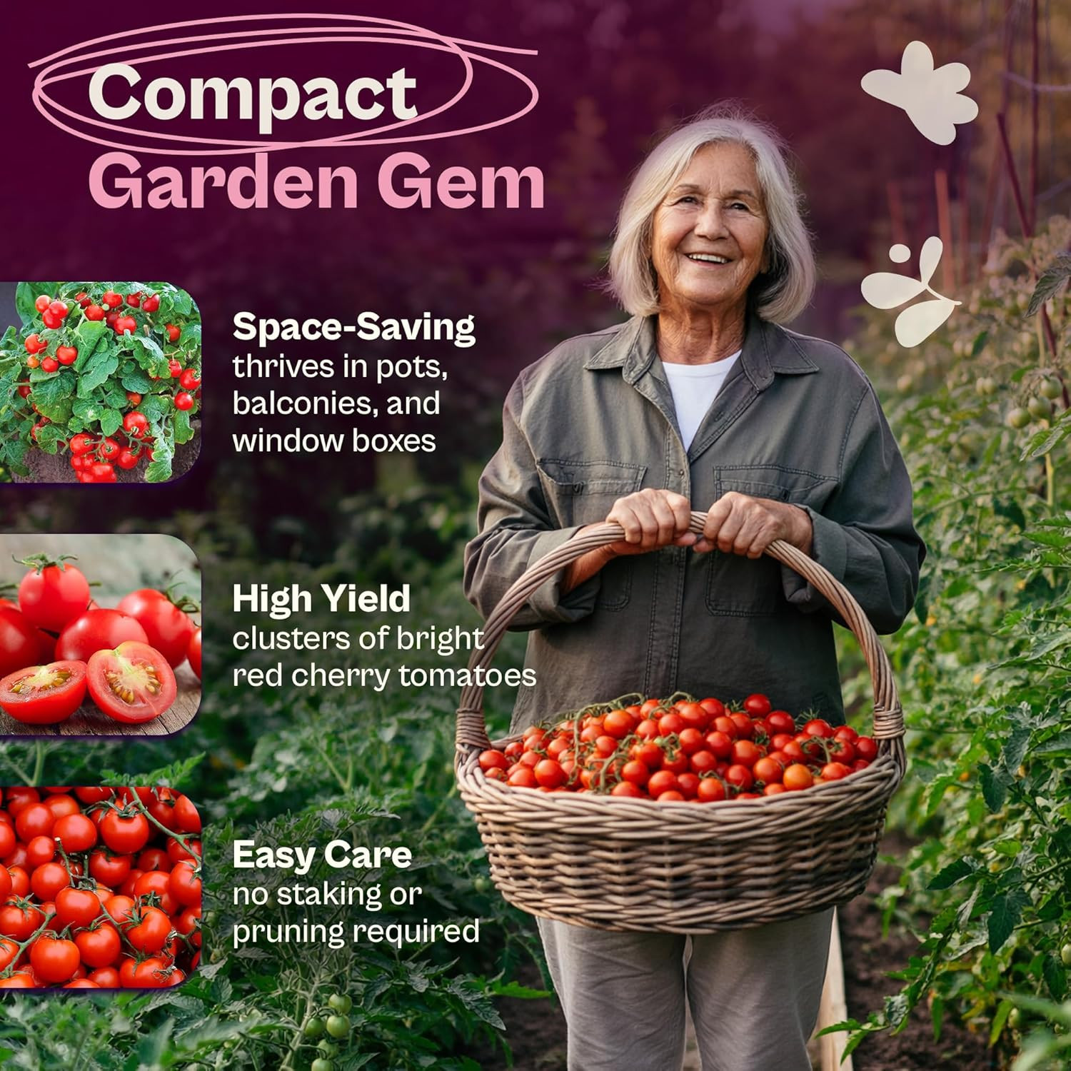 35 Cherry Tiny Tim Tomato Seeds (Solanum Lycoperscium) – Dwarf Cherry Tomato See