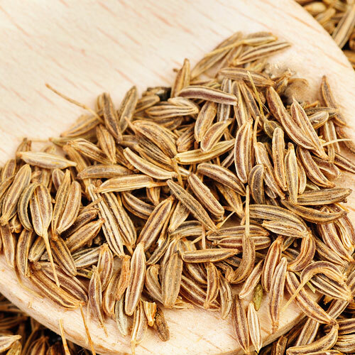 Cumin Seeds | Heirloom – Non-GMO | Free Shipping | Herb Seeds | Seed Store 1147