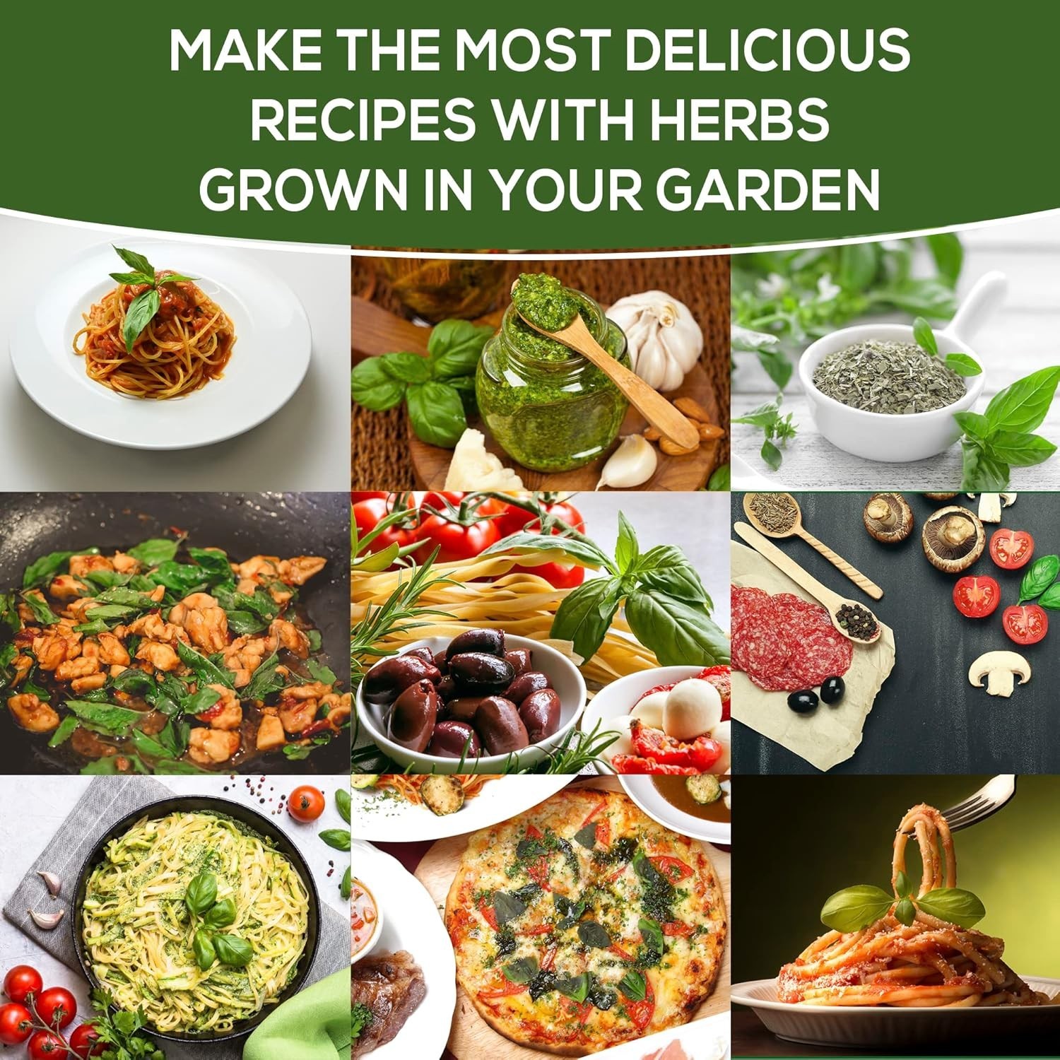 Non-GMO Basil Seeds – 550 Heirloom Seeds for Indoor, Outdoor, and Hydroponics