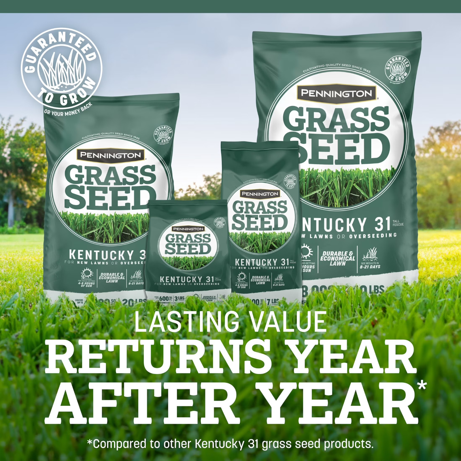 Pennington Kentucky 31 Tall Fescue Grass Seed 20 lb Sun & Shade Lawn Seed