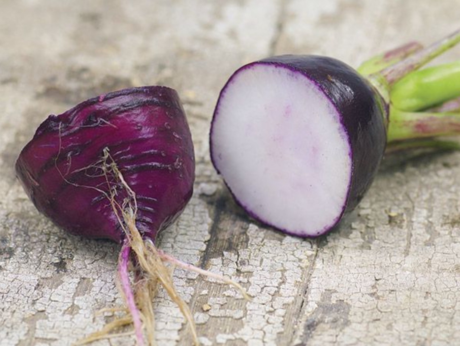 100+ Purple Plum Radish Seeds ——— Heirloom – NON GMO – Organic