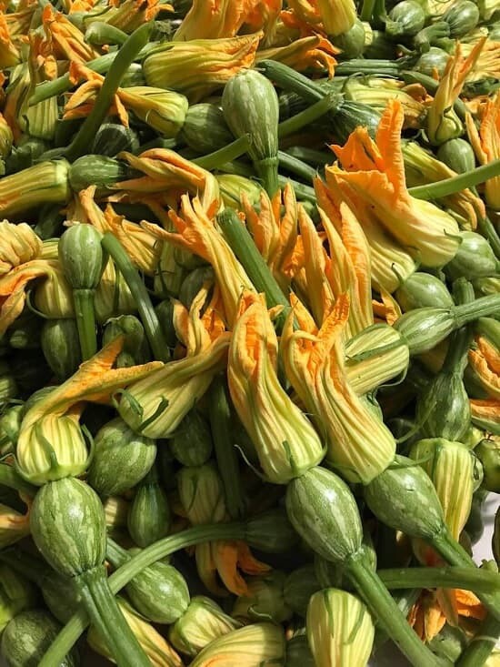 100 hạt giống bí nụ lai f1 Siêu Bông Siêu Nụ High Yeild Baby Pumpkin And Flower