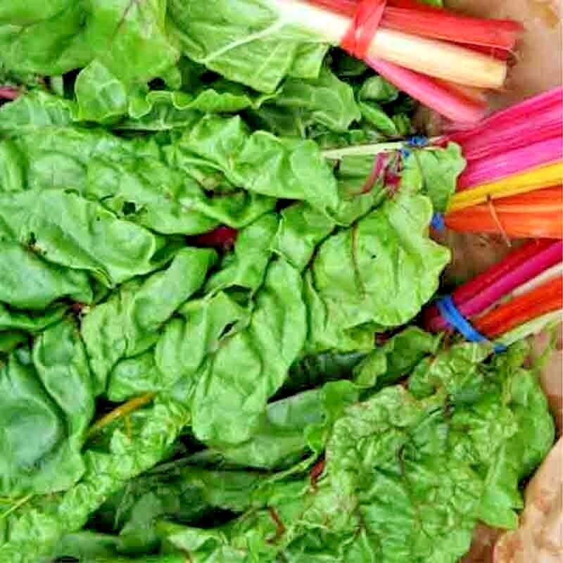 100 SWISS CHARD SPRING SALAD GARDEN VEGETABLE SEEDS HEIRLOOM MICROGREENS NON-GMO