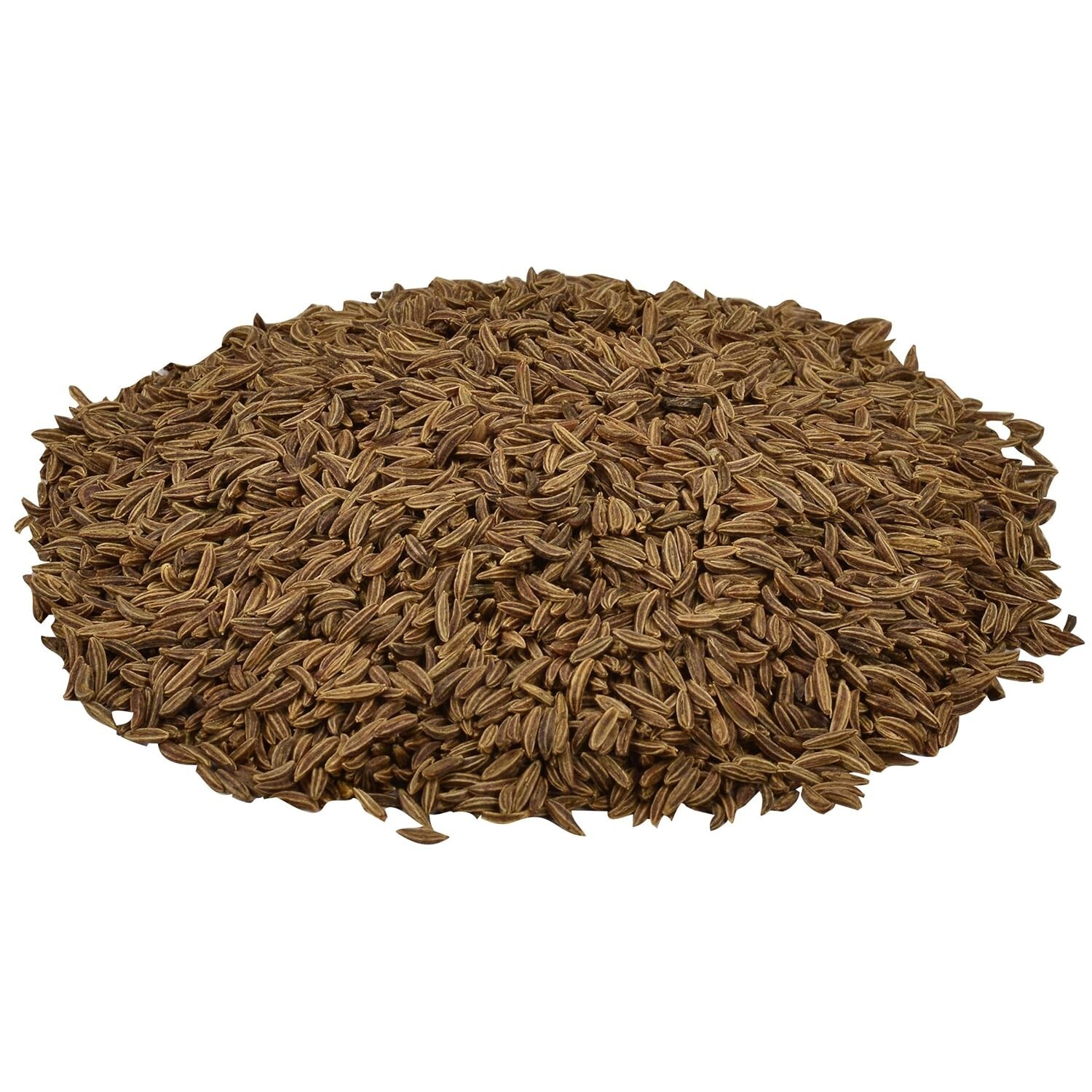 16 oz Kosher Whole Caraway Seeds – Elevate Sweet & Savory Dishes Effortlessly
