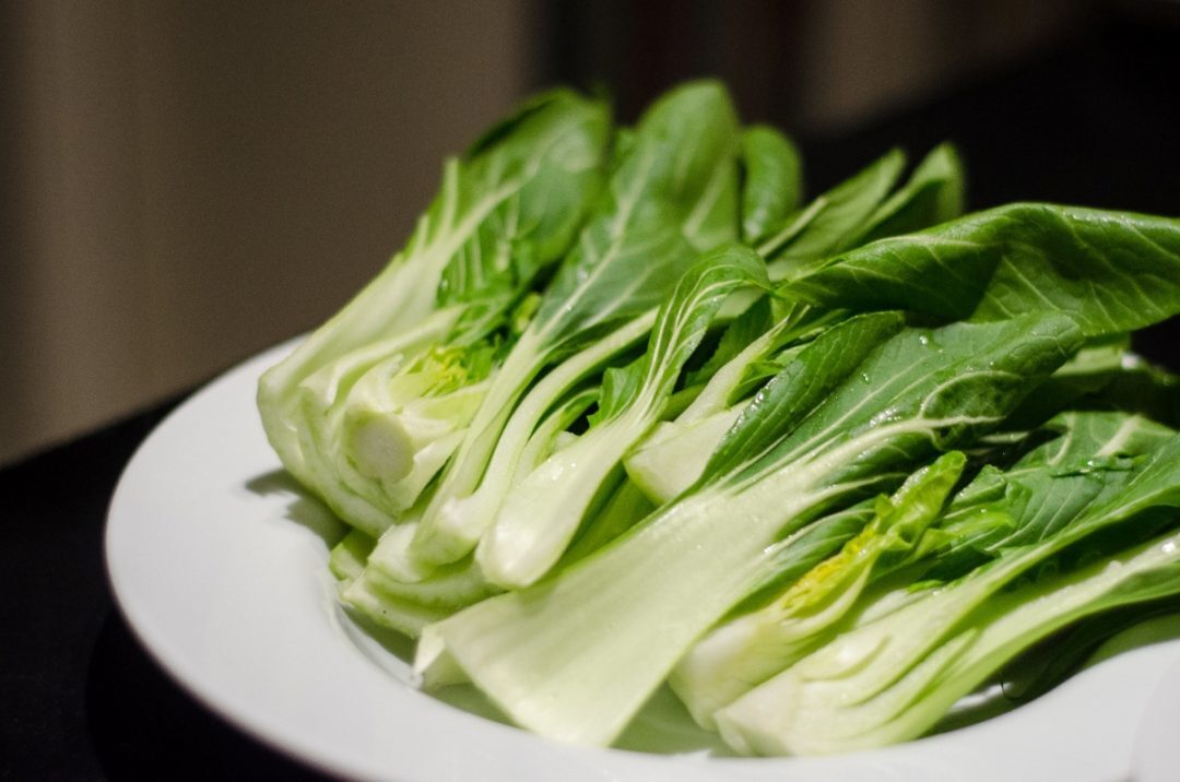 Pak Choi (Bok Choy) Chinese Cabbage Seeds Non-GMO USA Ships Free Bulk Seeds