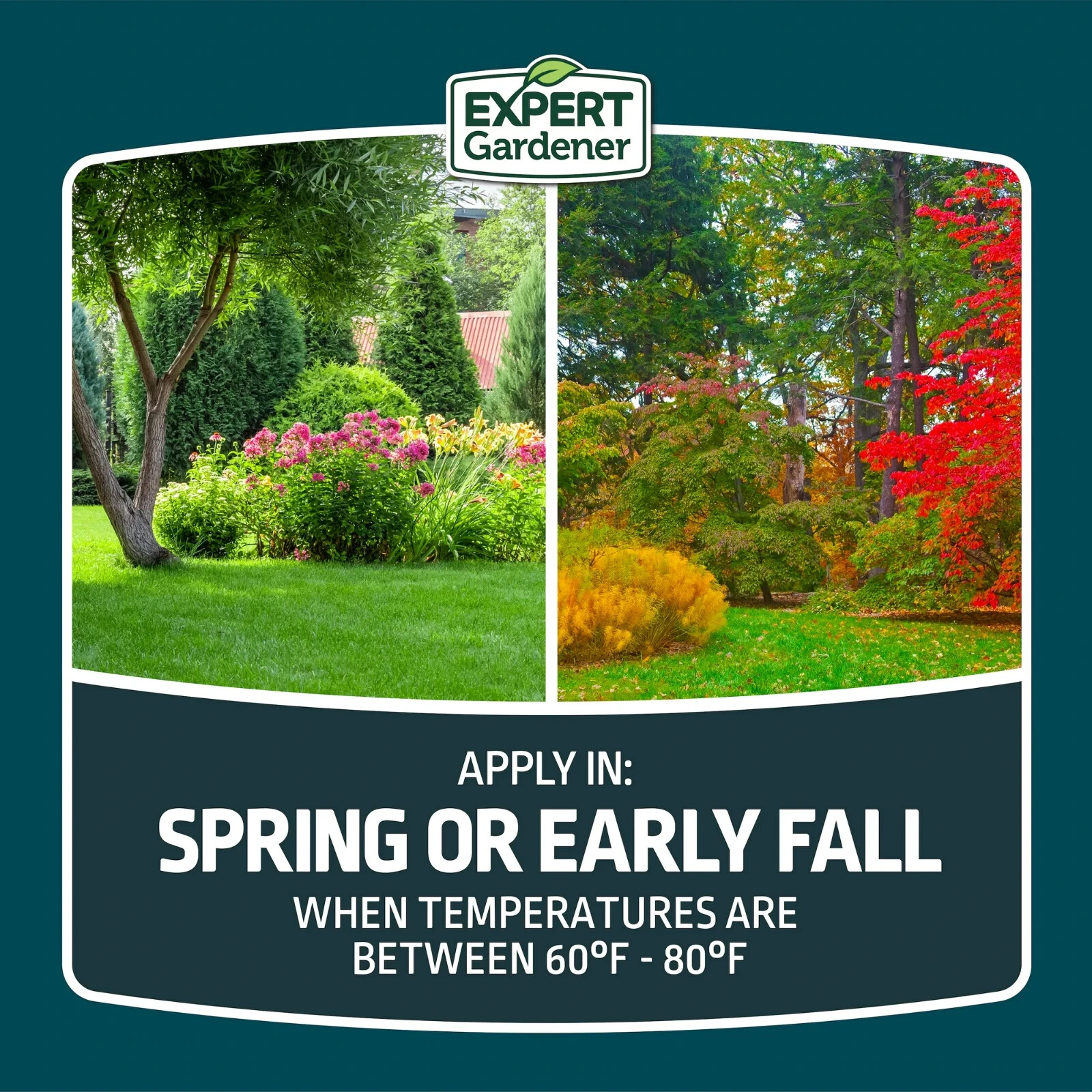 Expert Gardener Kwik Grass Seed Mix, for Sun to Partial Shade, 3 lb.