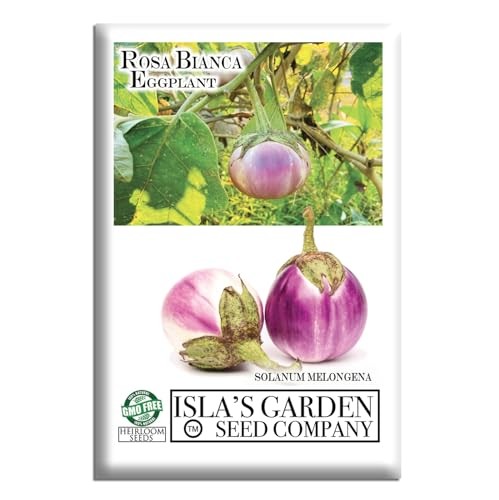 Rosa Bianca Eggplant Seeds (Solanum melongena) – 20 Non-GMO Heirloom Seeds by