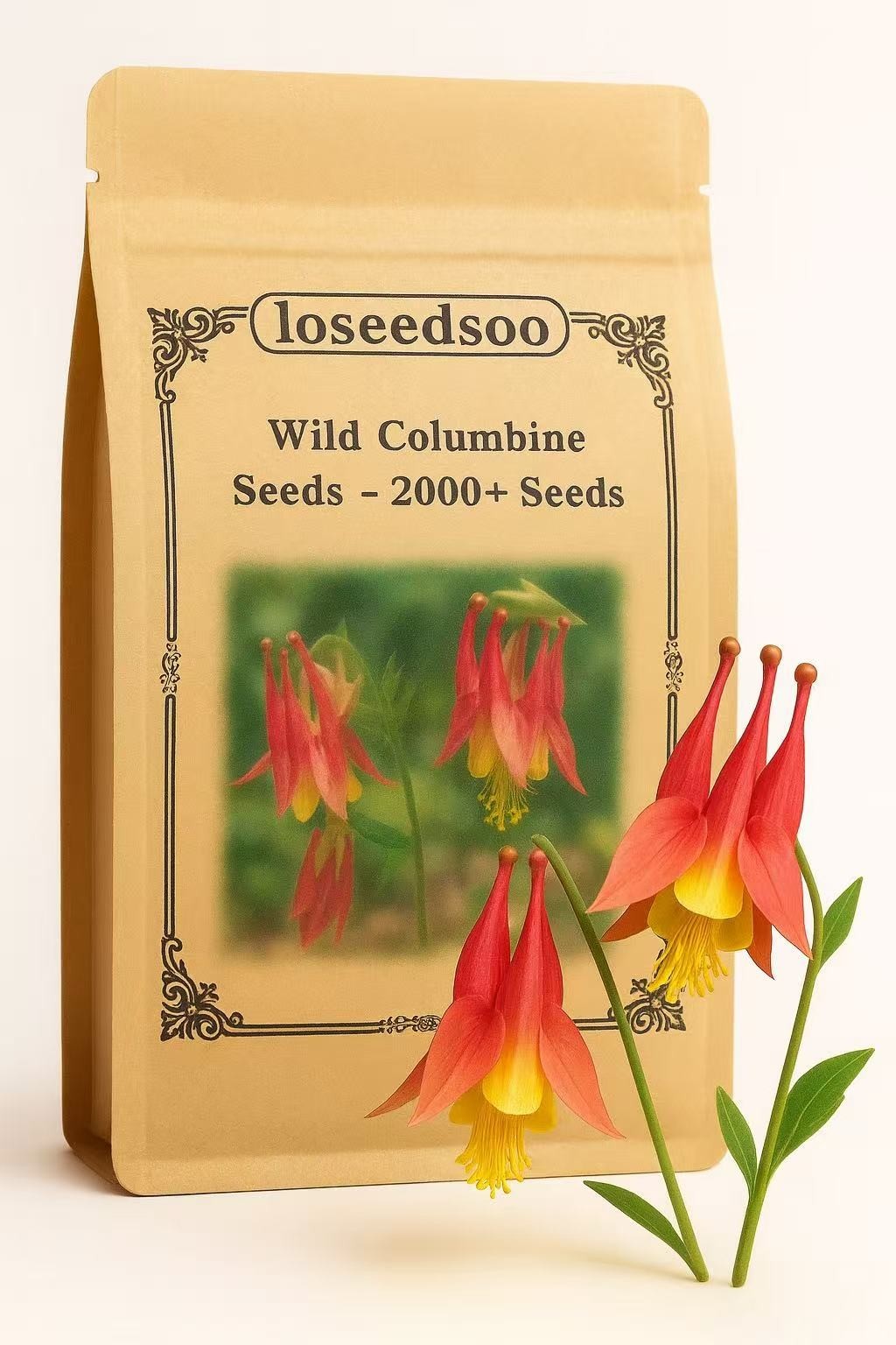 Wild Columbine Seeds – 2000+ Perennial Flower Seeds