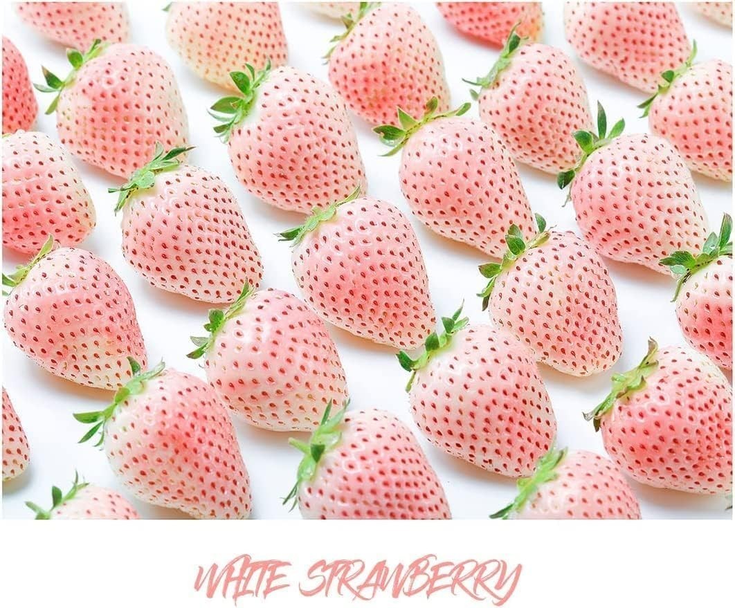 800 Mixed Strawberry Seeds – 4 Colors – Non-GMO Heirloom Perennial Seeds for Pla