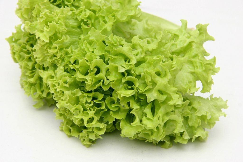 Black Seeded Simpson Lettuce Seeds 600+ Leaf Vegetable NON-GMO US FREE SHIPPING
