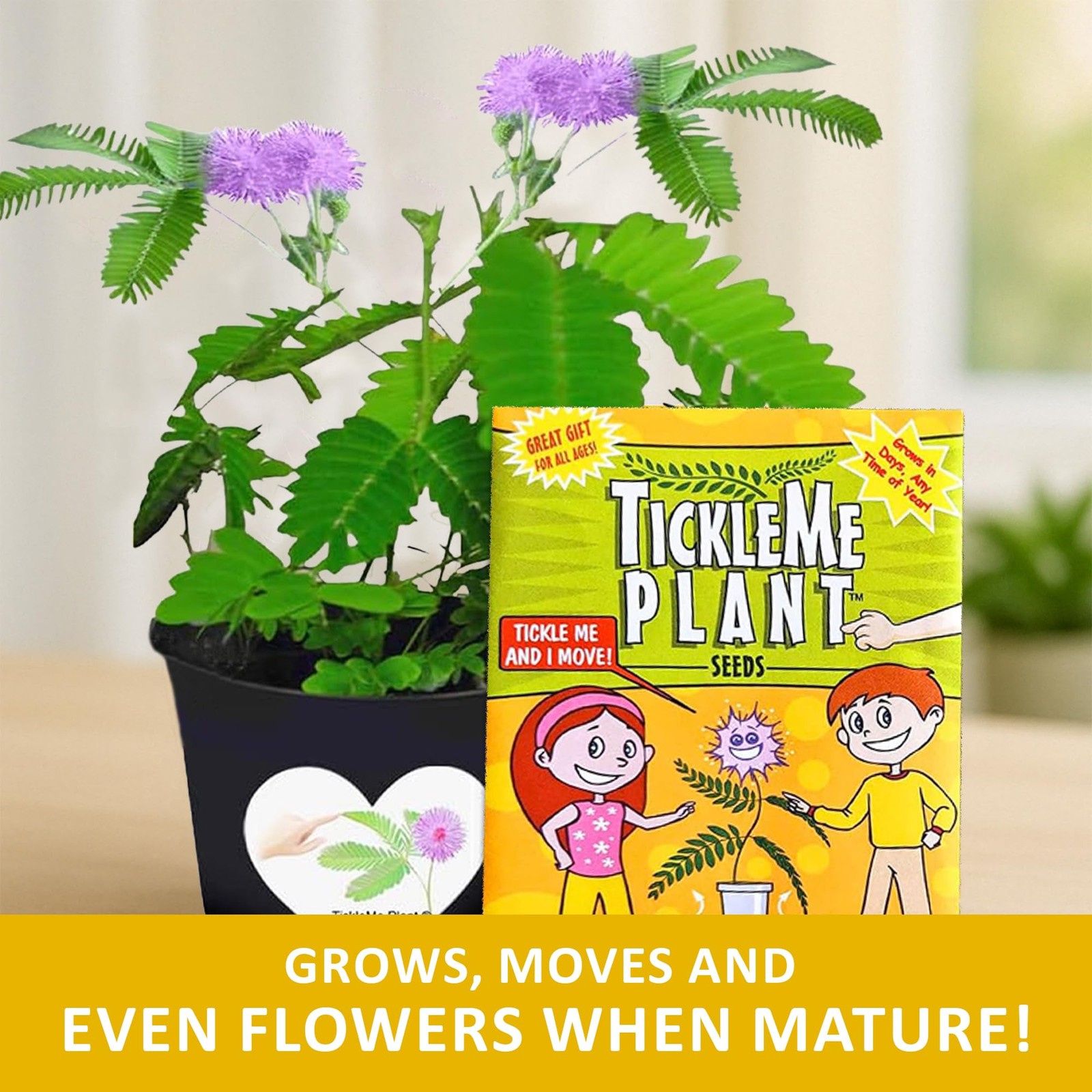 I’m Tickled You’re My Mom Happy Birthday Mom Gift Box Tickle Me Plant Set