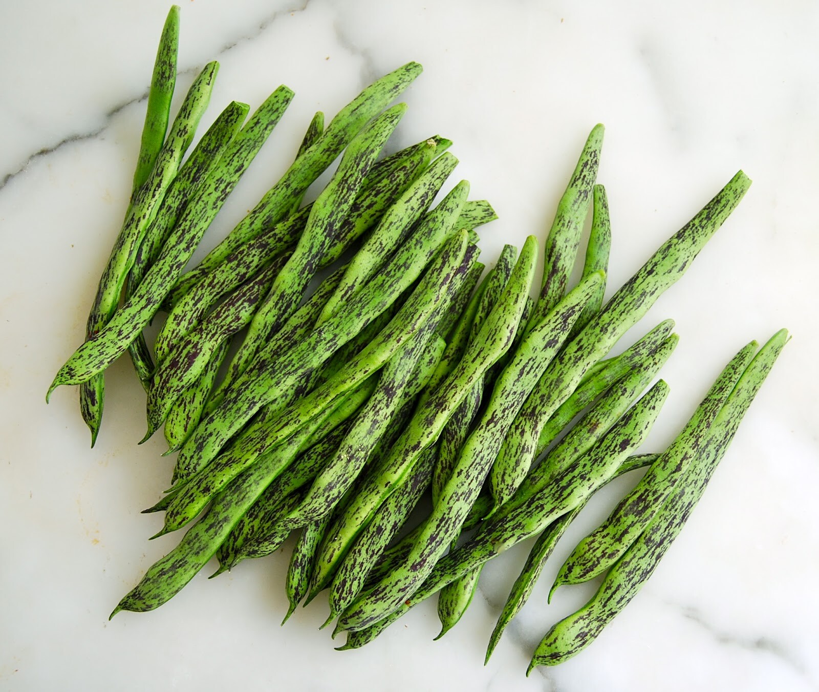 Rattlesnake Bean Seeds, Pole | Vining Purple Green Dragon Runner Beans Seed 2024
