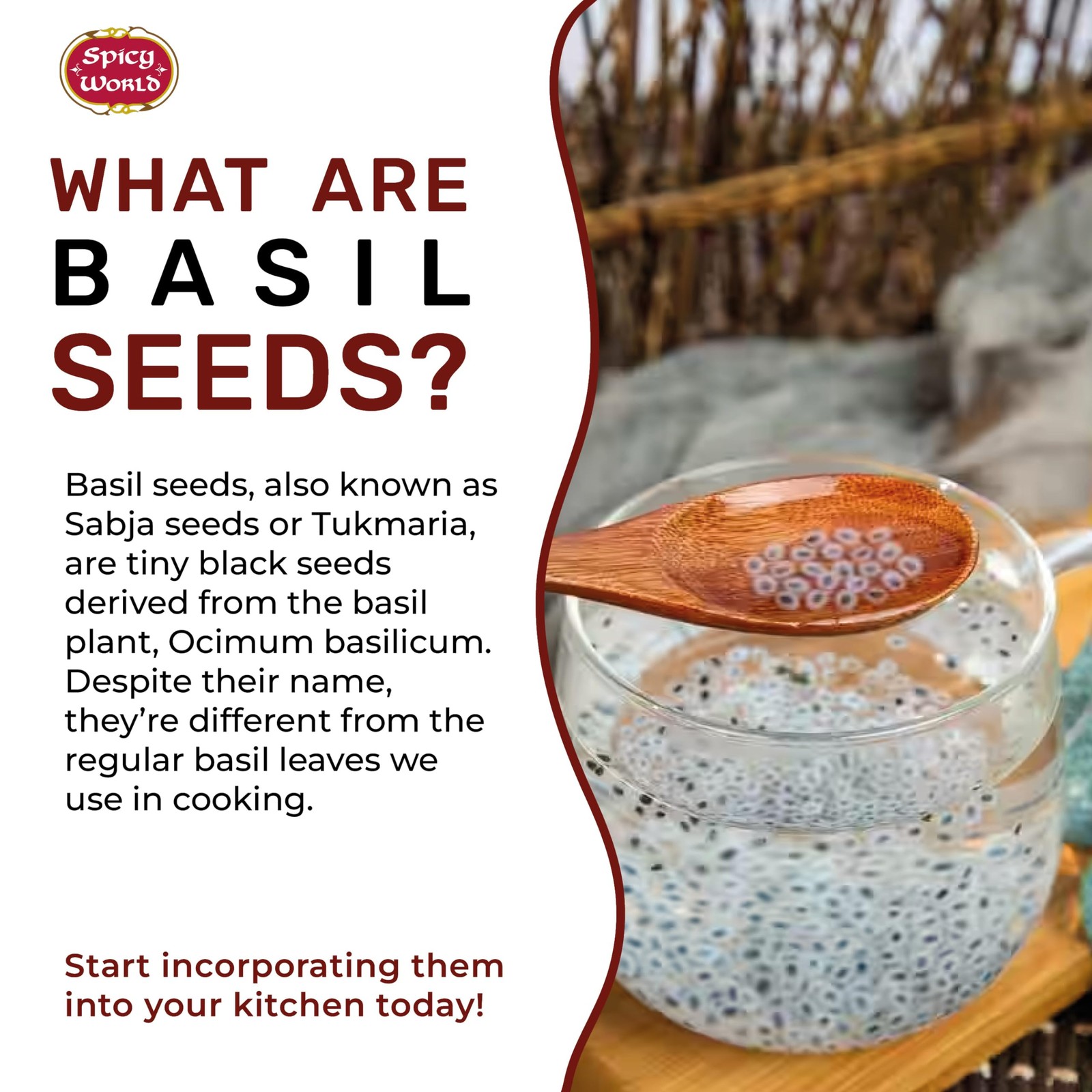 Basil Seeds 14 Ounce Bag – Tukmaria, Sabja Seeds – Used in Falooda & Ayurveda