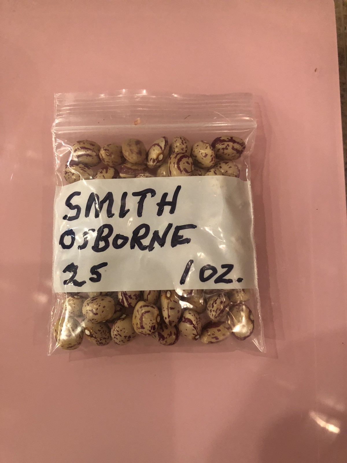 1 ounce Smith Osborne Pole Bean Grown in 2025 Heirloom Kentucky Fall Bean