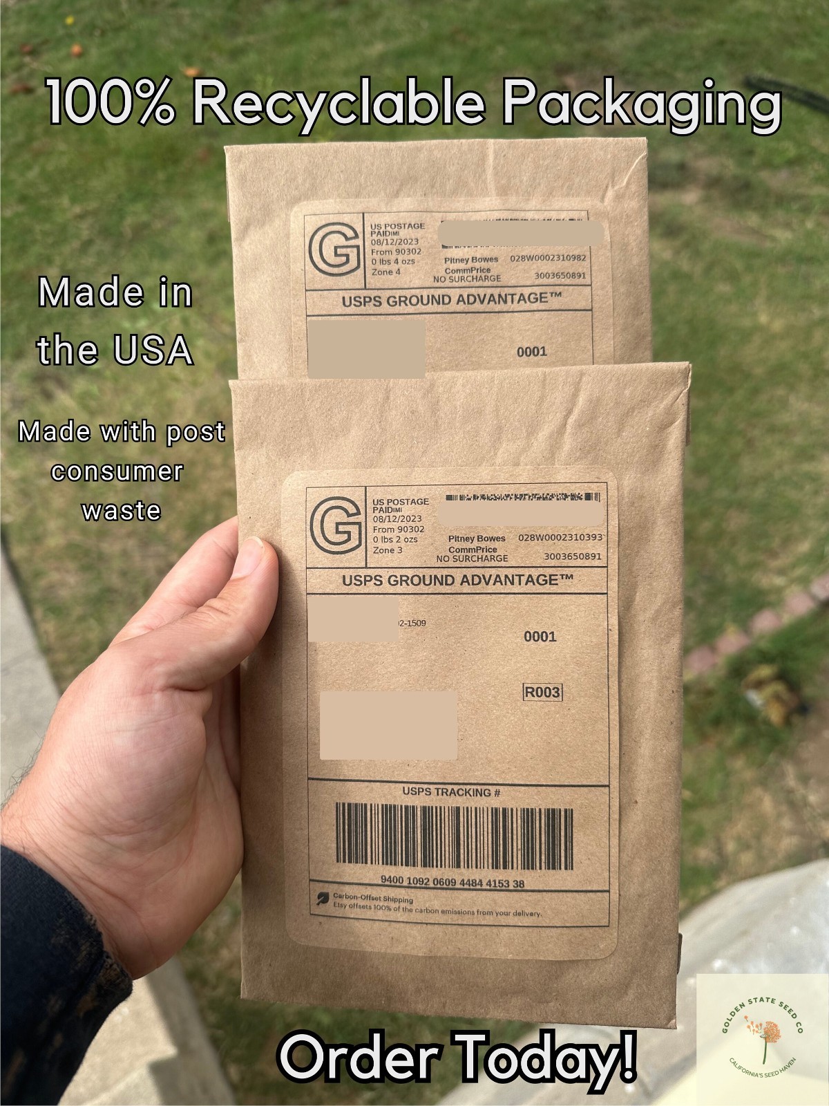 Meadow Lupine Seeds – California Native – Lupinus polyphyllus – Help Pollinators