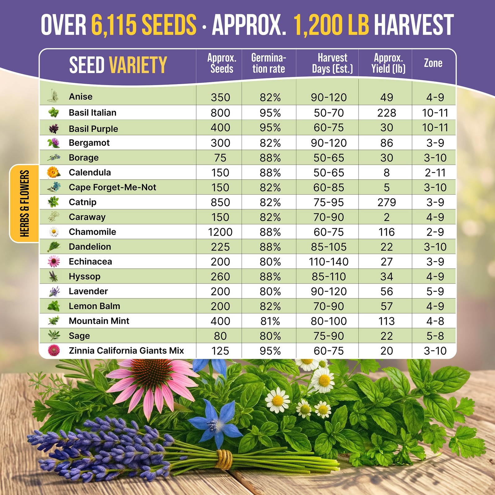 18 Medicinal Tea Herb & Flower Seeds Variety Pack – 6,100+ Non-GMO Heirloom F…
