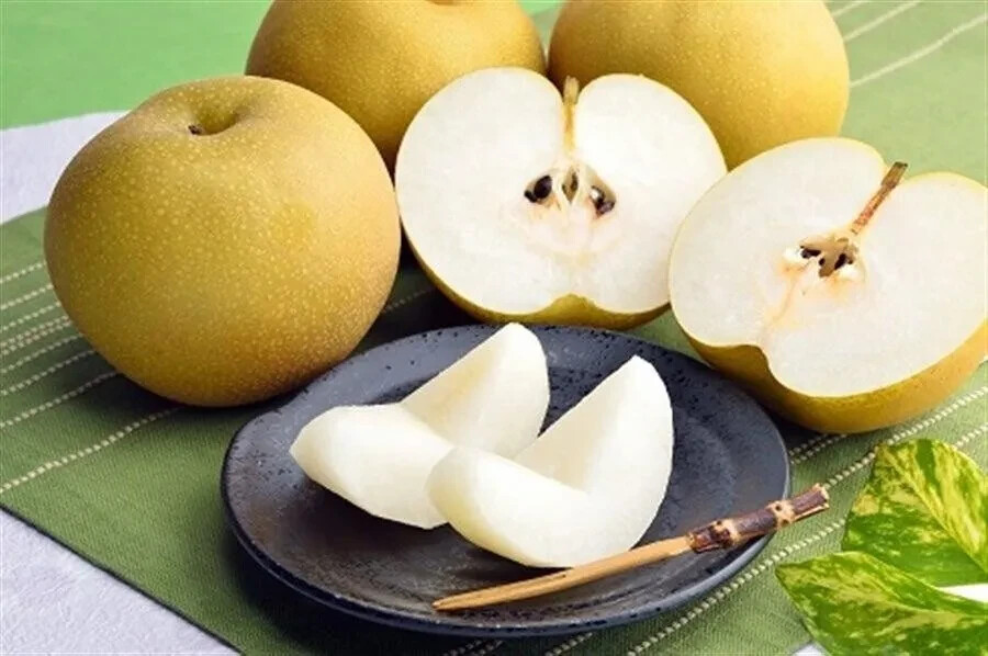 Asian Pear, Japanese Pear, Korean Pear, Pyrus Pyrifolia – 10 Seeds 2026 – USA