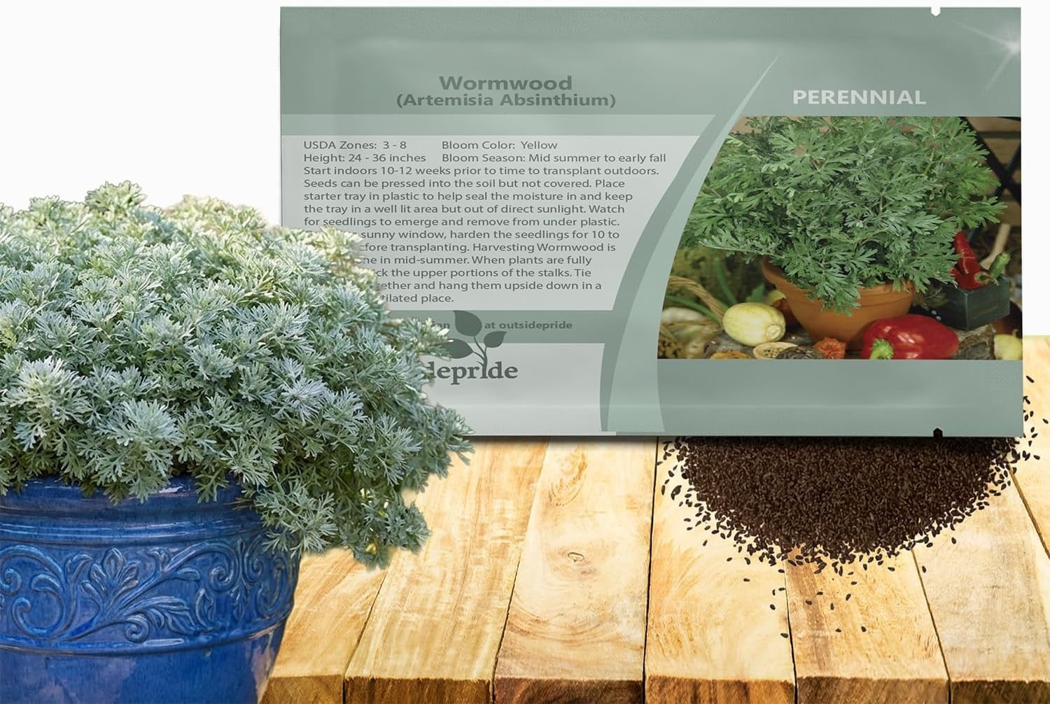 Perennial Wormwood Seeds (5000) – Low-Maintenance Herb with Yellow Summer Blooms