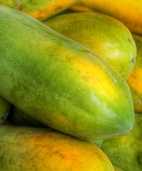 45 SEEDS ORGANIC VEGETABLE EXOTIC TROPICAL FRUIT CARICA PAPAYA GARDEN