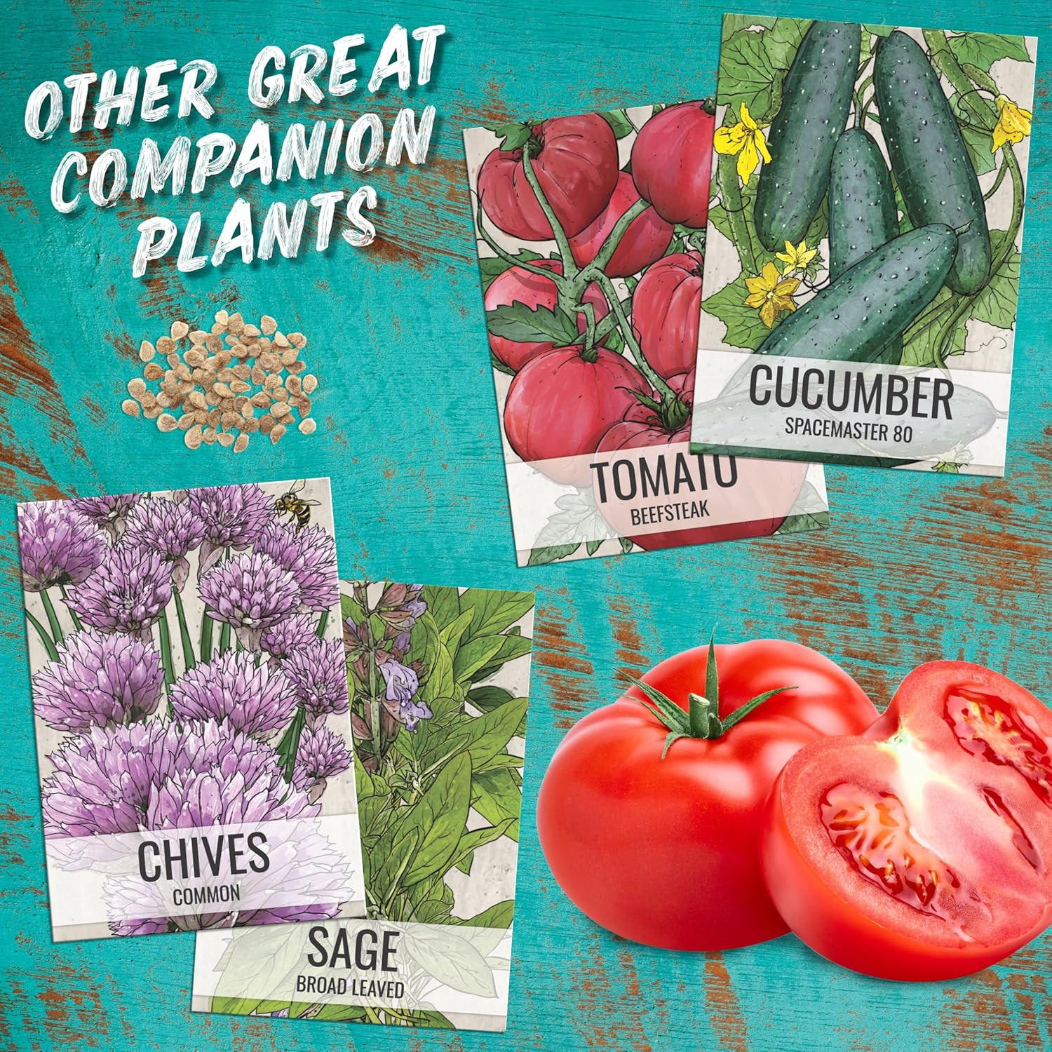 Lovage Seeds for Planting – Non-Gmo Heirloom & Untreated Herbs to Plant a Medici