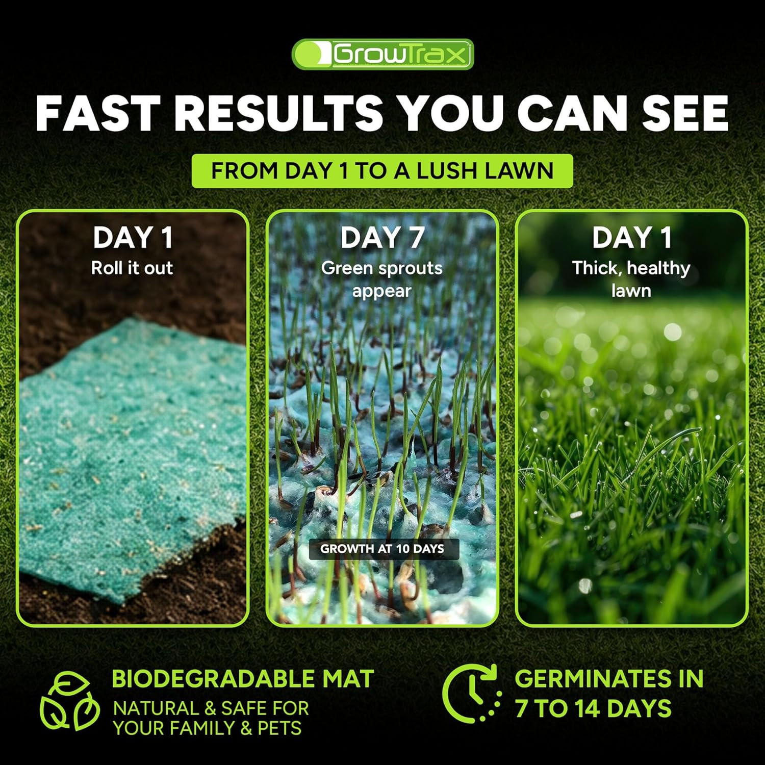 Biodegradable Grass Seed Mat – 100 Sqft Year round Green – Grass Seed and for La