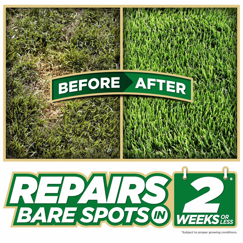 GRASS SEED PATCH REPAIR Tall Fescue for Sun to Partial Shade