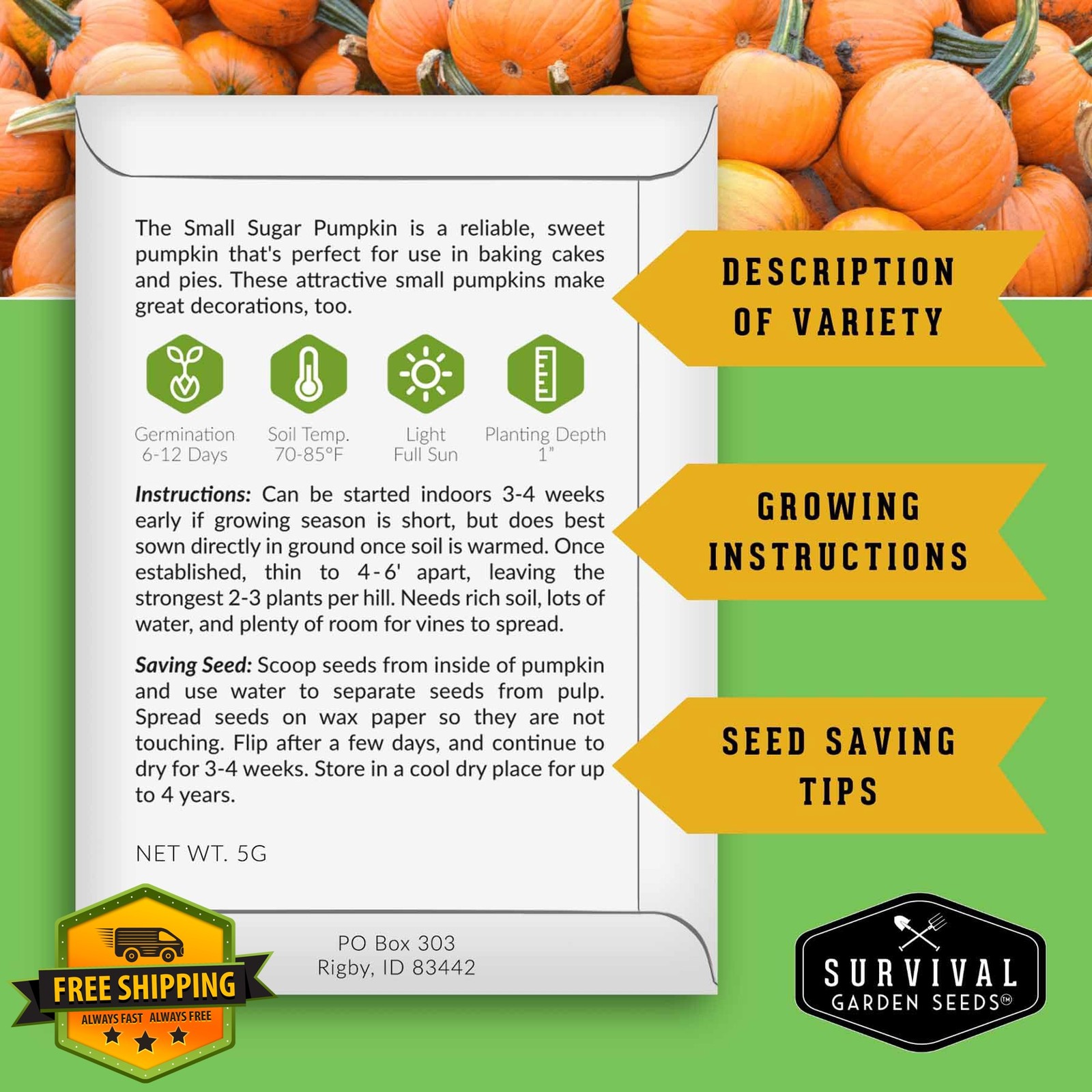 Small Sugar Pumpkin Seeds for Planting – Heirloom Sugar Pie Pumpkins, Sweet B…