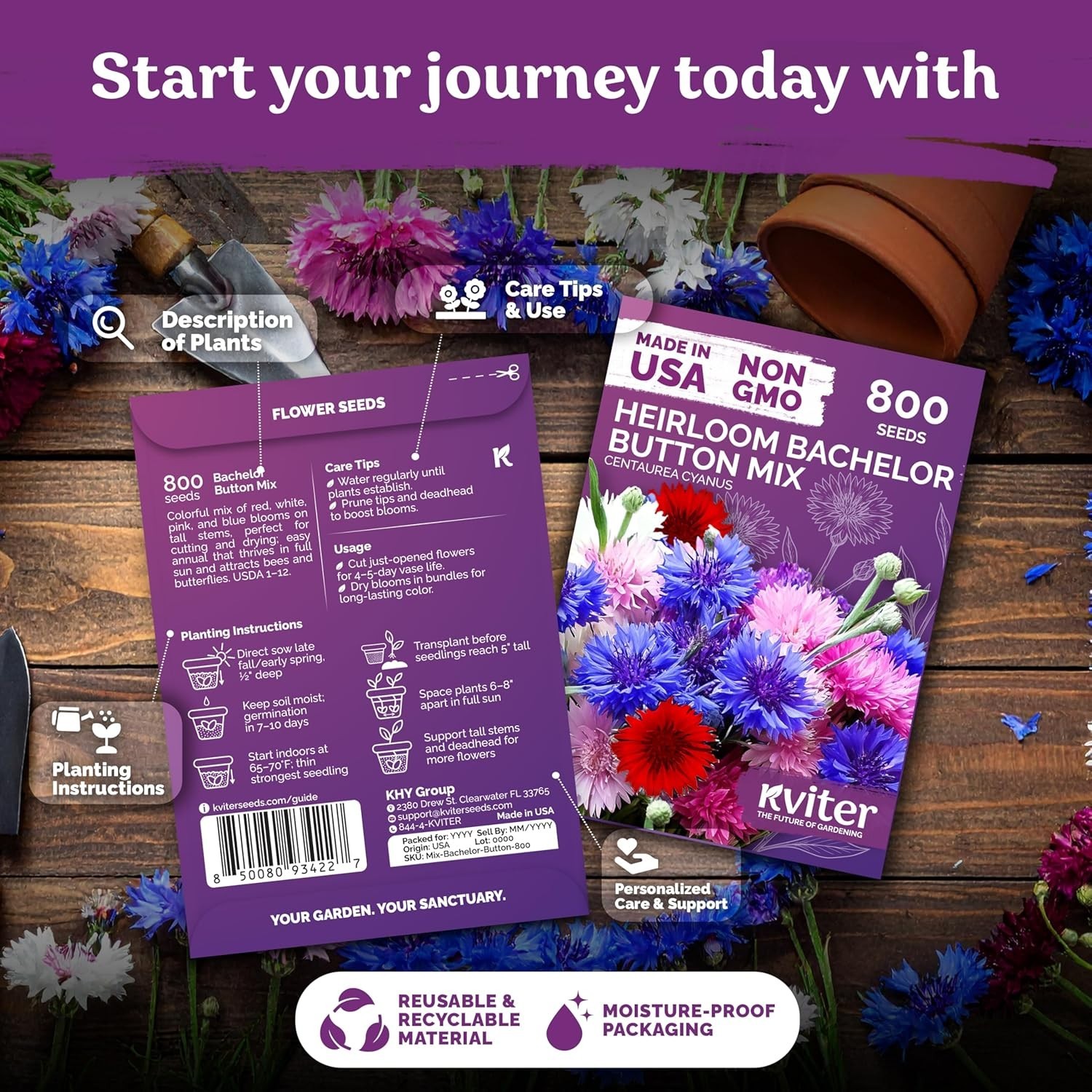 Summer-Blooming Cornflower Seeds – 800 Mixed Bachelor Buttons for Any Garden