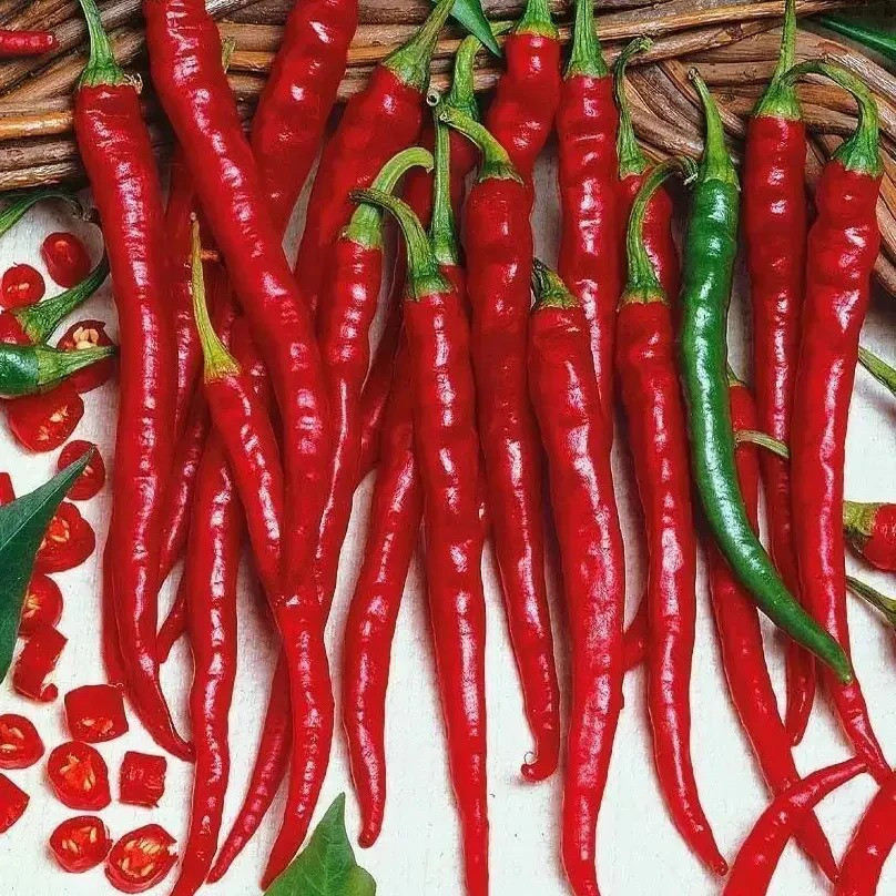 100+ Long Slim Cayenne Hot Pepper Seeds ————- HOT — Heirloom