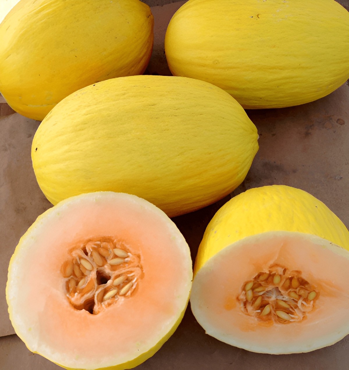40 Heirloom Crenshaw Melon Seeds – Tropical Notes Honey Sweet Melon! NonGMO