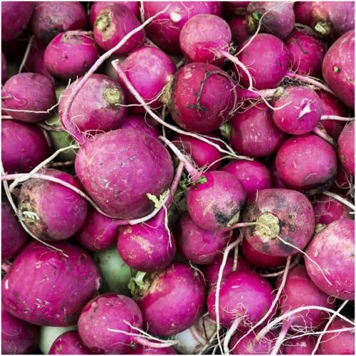 Purple Plum Radish Seeds 200 Ct Vegetable Garden Heirloom NON-GMO FREE SHIPPING