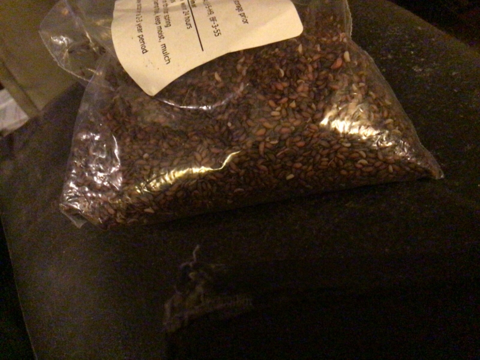 European Mountain Ash Tree Seeds ((Sorbus Aucuparia))