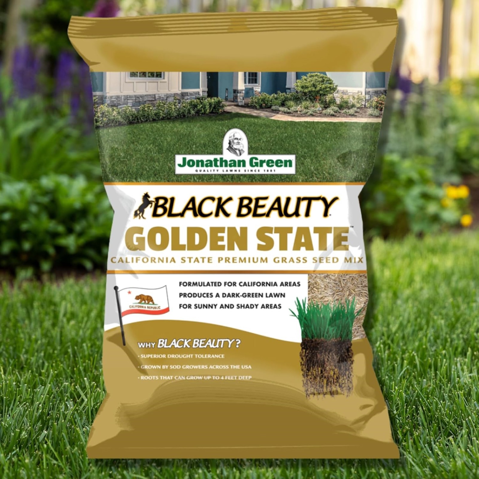 Jonathan Green Black Beauty Golden State California Grass Seed, 7lb
