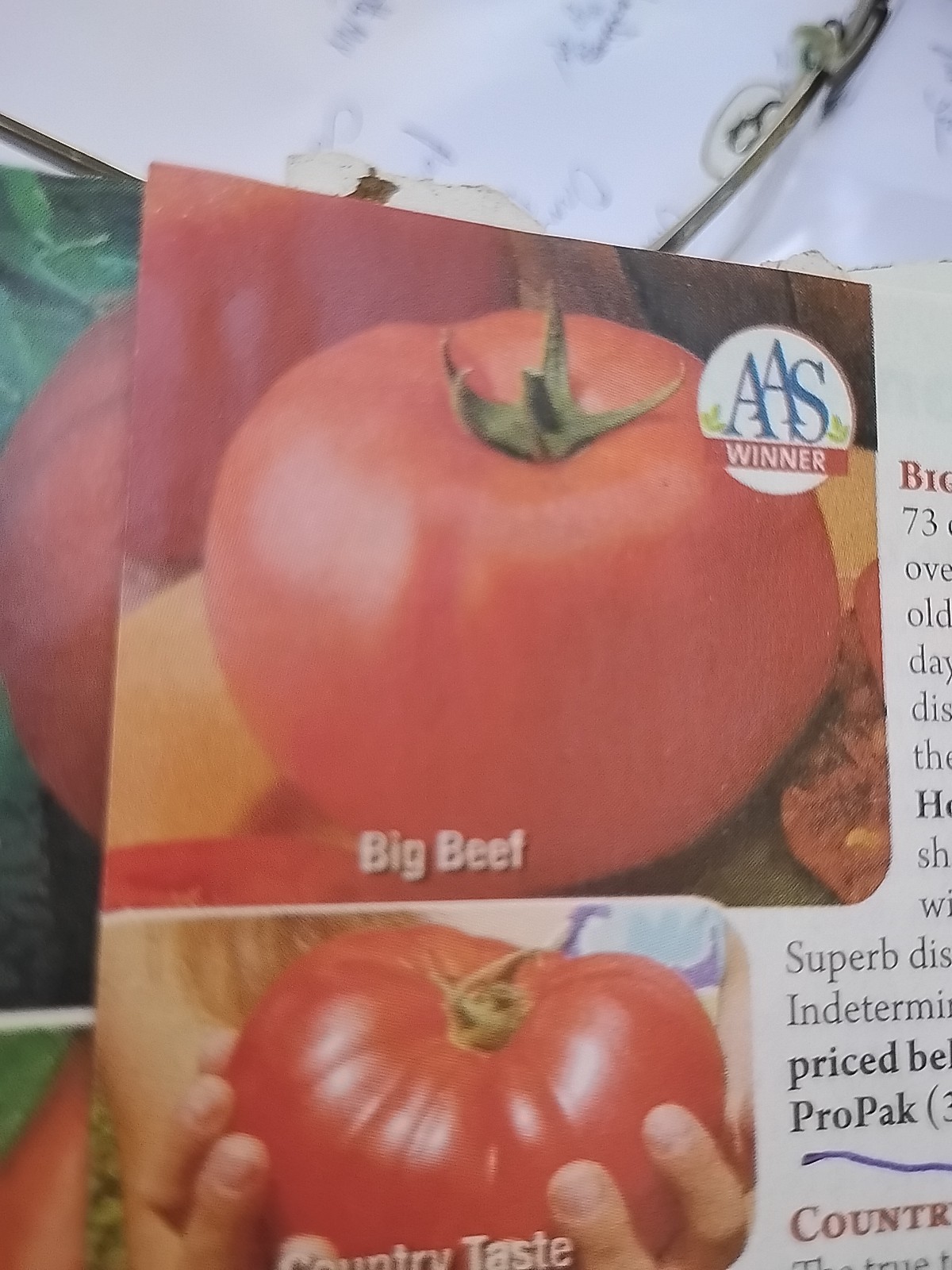 BIG BEEF BEST TOMATO EVER 20 SEEDS + FREE BONUS! AWARD WINNER ,& GREAT TASTE!