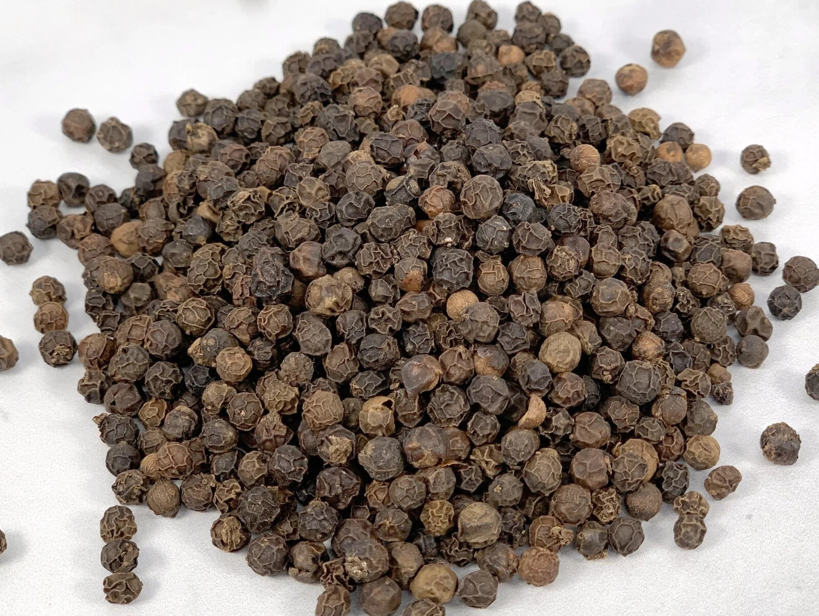 Black Peppercorn (Piper nigrum) Vine Seeds (30) / ORGANIC / FLORIDA GROWN