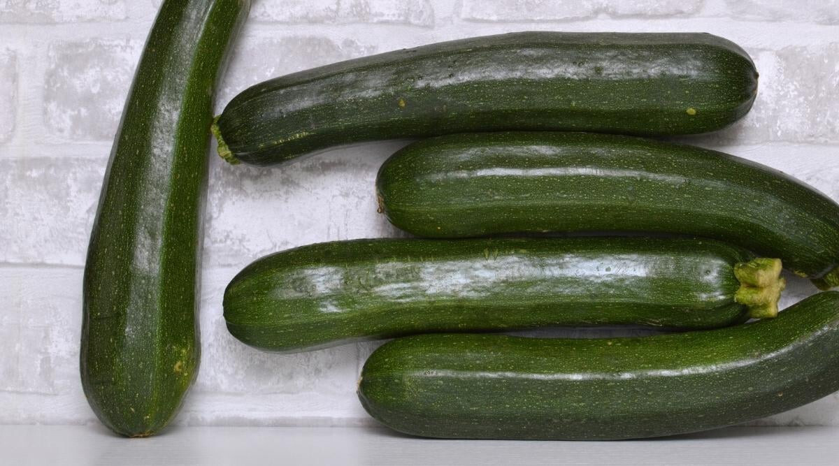 25+ Dunja Zucchini Squash Seeds for Garden Planting – USA – FREE SHIPPING!
