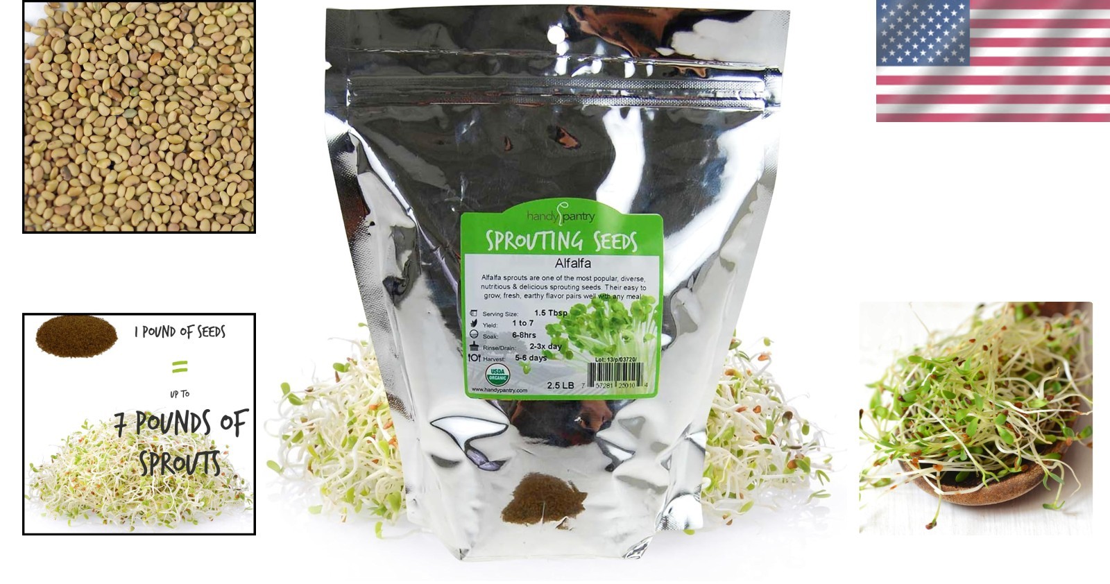 Organic Alfalfa Sprouting Seeds 2.5 Lbs – High Germination