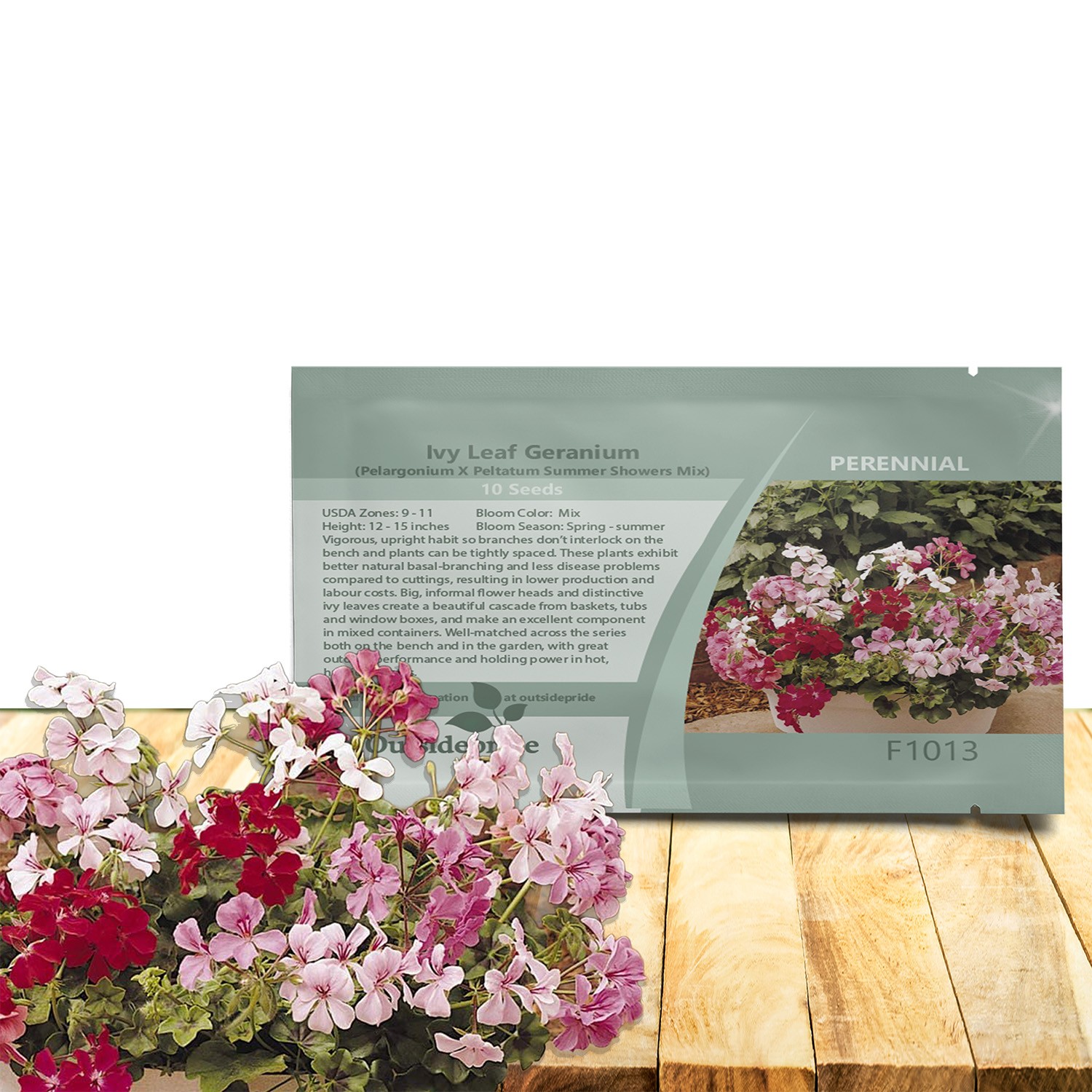 20 Seeds Flower Seed – Ivy Leaf Geranium Seeds Mix