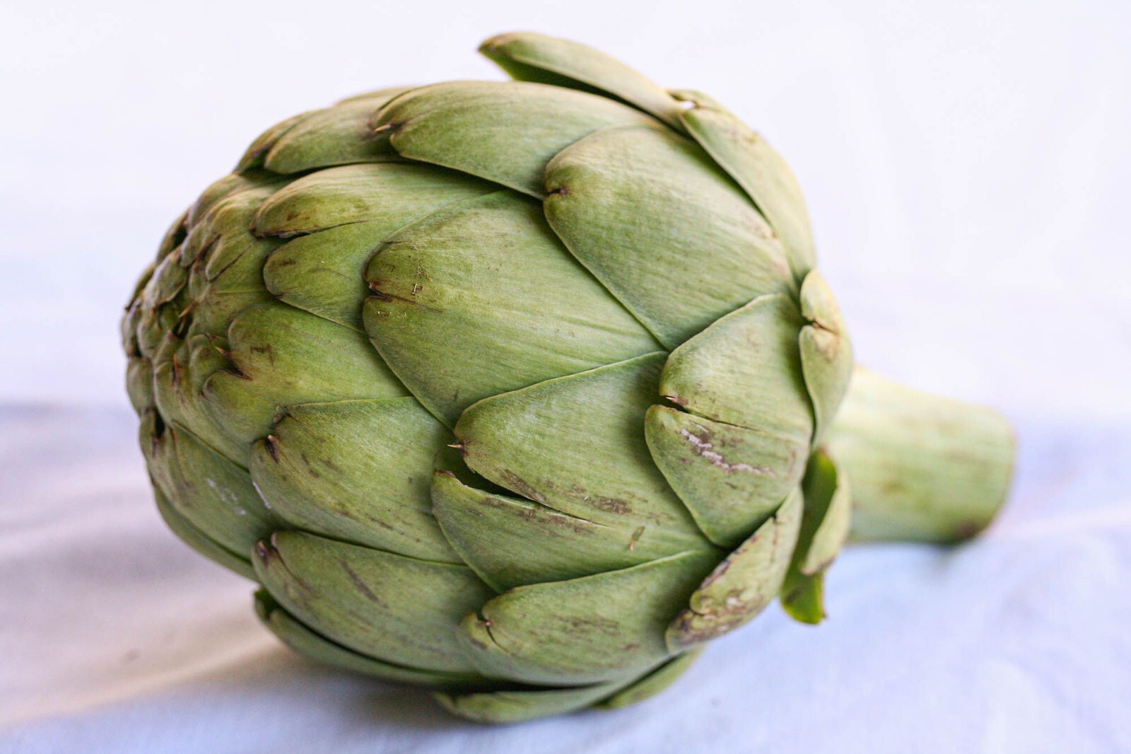 ARTICHOKE 5 VEGETABLE SEEDS FREE USA SHIPPING