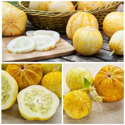 Cucamelon Seeds/Lemon Cucumber Seeds for Planting – Non Cucamelon + Lemon Cuke