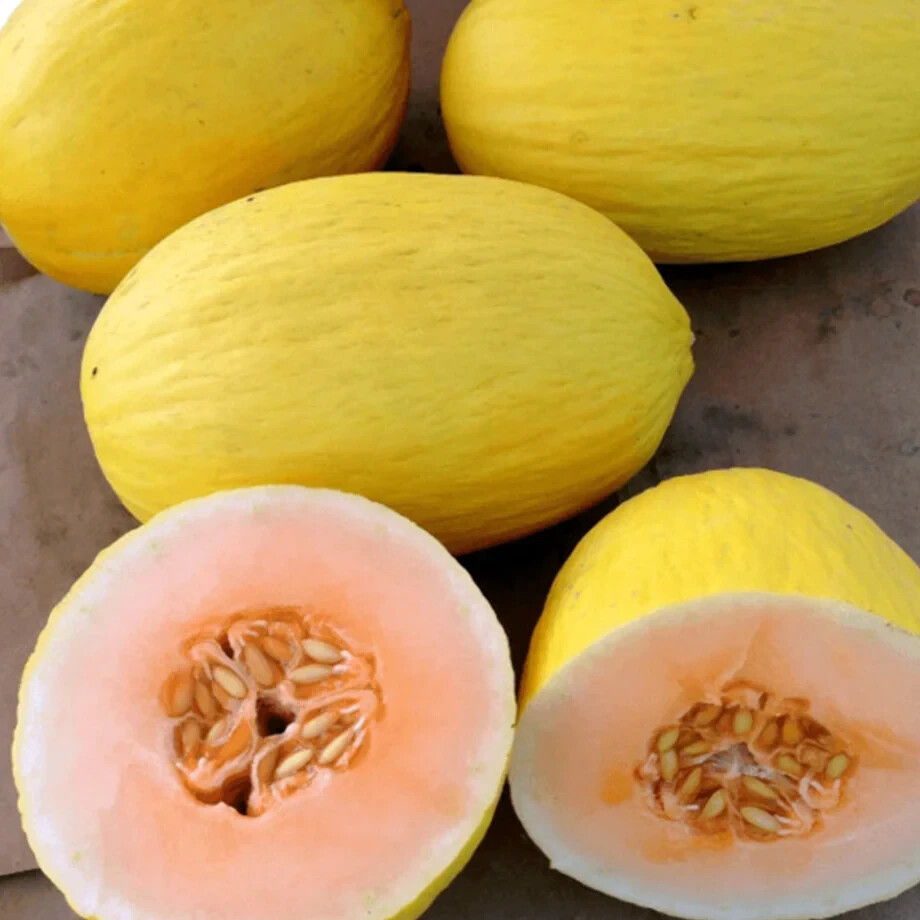 30+ seeds – Cantaloupe Crenshaw Melon seeds for planting, non-GMO, fast growing